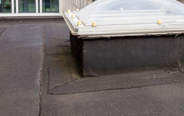 disadvantages of Barkingside flat roofs