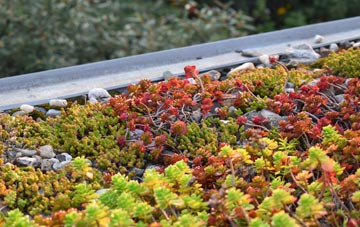 the cost of Barkingside green roof installation