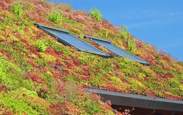 Barkingside living roof systems
